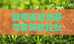 益原素普洱茶可能导致拉肚子的多种原因及解决方法