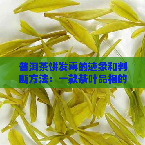 普洱茶饼发霉的迹象和判断方法：一款茶叶品相的逆袭