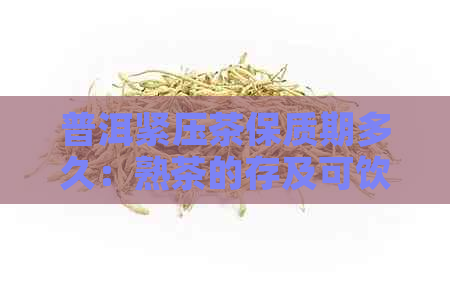 普洱紧压茶保质期多久：熟茶的存及可饮用时间解析