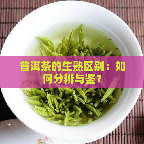 普洱茶的生熟区别：如何分辨与鉴？