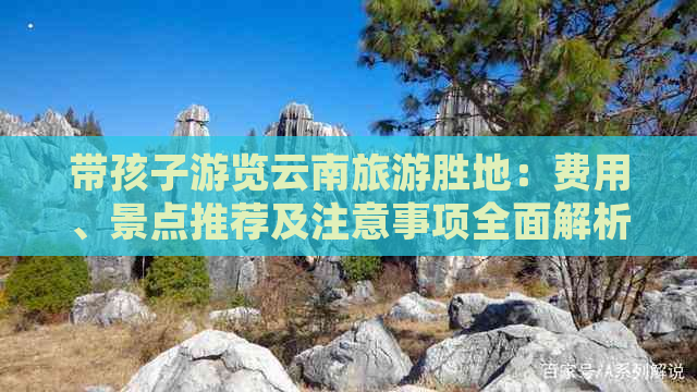 带孩子游览云南旅游胜地：费用、景点推荐及注意事项全面解析