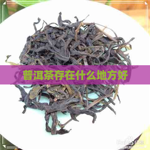 普洱茶存在什么地方好