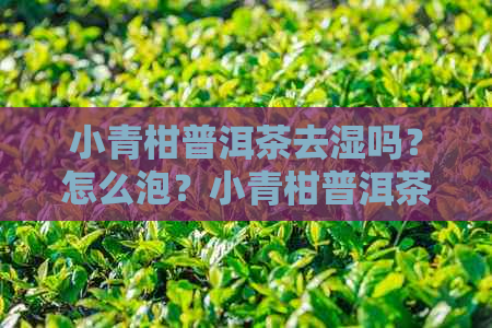 小青柑普洱茶去湿吗？怎么泡？小青柑普洱茶能祛湿气吗？