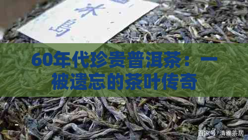 60年代珍贵普洱茶：一被遗忘的茶叶传奇