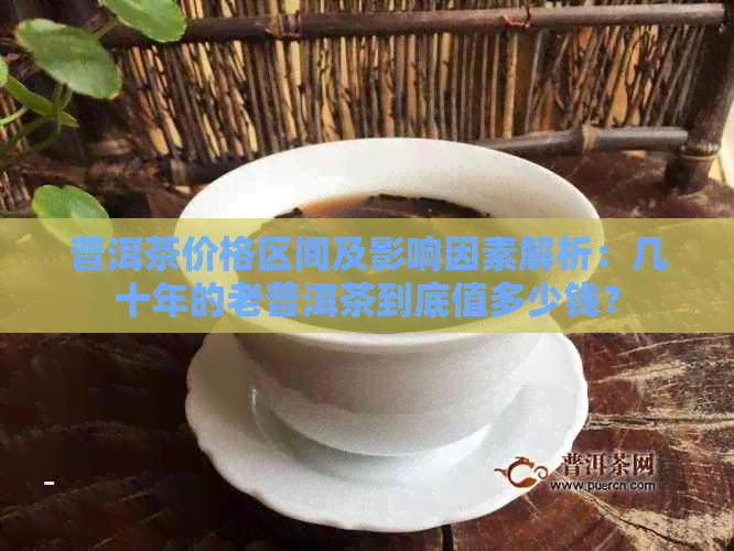 普洱茶价格区间及影响因素解析：几十年的老普洱茶到底值多少钱？