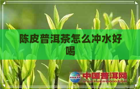 陈皮普洱茶怎么冲水好喝