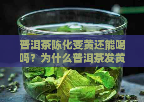 普洱茶陈化变黄还能喝吗？为什么普洱茶发黄后仍可饮用？