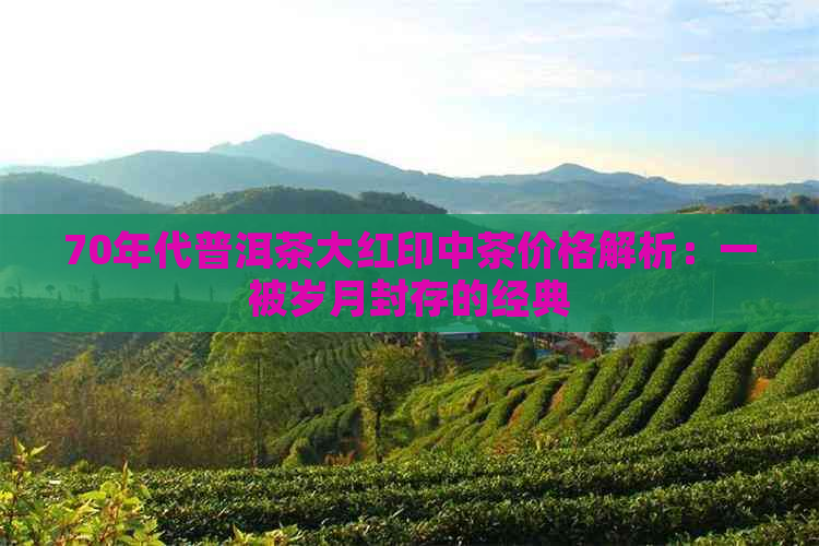 70年代普洱茶大红印中茶价格解析：一被岁月封存的经典