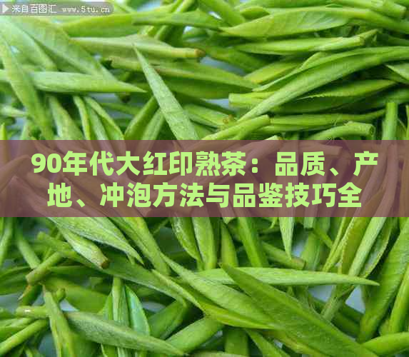 90年代大红印熟茶：品质、产地、冲泡方法与品鉴技巧全面解析