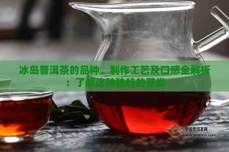 冰岛普洱茶的品种、制作工艺及口感全解析：了解这种独特的茶类