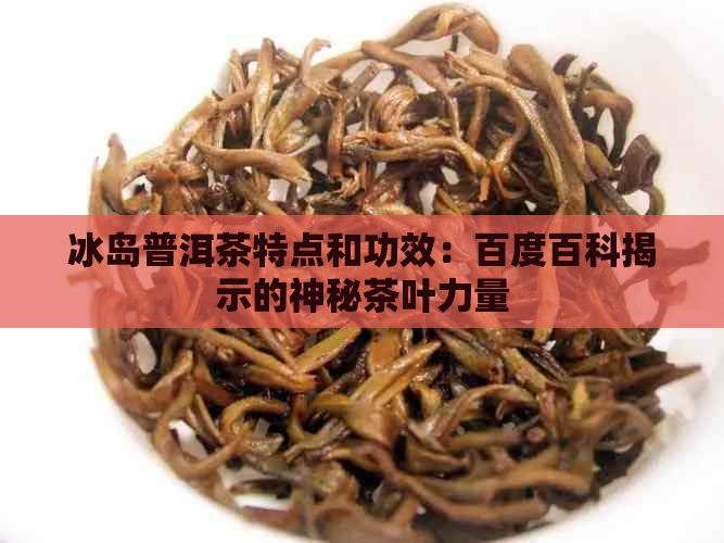 冰岛普洱茶特点和功效：百度百科揭示的神秘茶叶力量