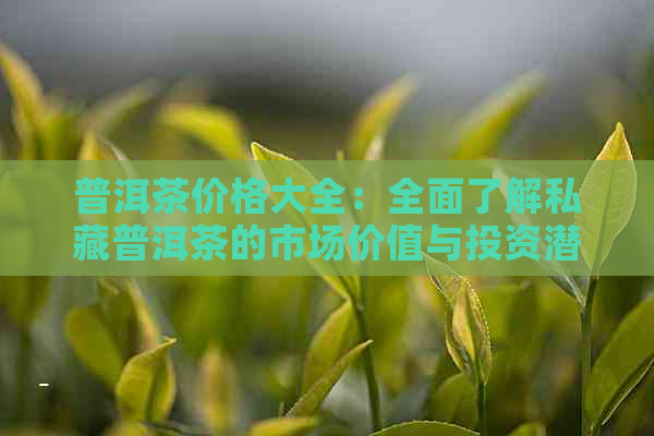 普洱茶价格大全：全面了解私藏普洱茶的市场价值与投资潜力