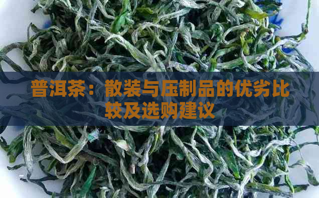 普洱茶：散装与压制品的优劣比较及选购建议