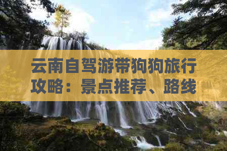 云南自驾游带狗狗旅行攻略：景点推荐、路线规划、住宿与食物全解析