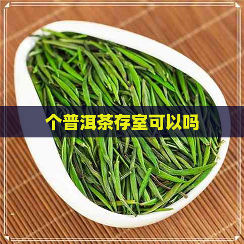 个普洱茶存室可以吗