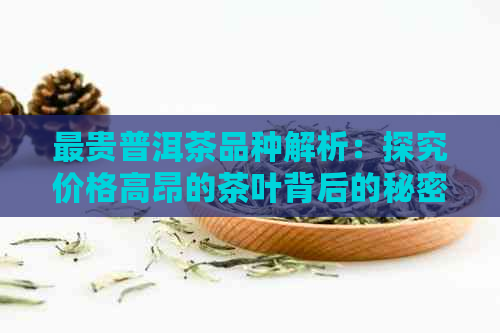 最贵普洱茶品种解析：探究价格高昂的茶叶背后的秘密