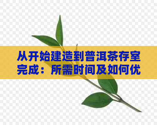 从开始建造到普洱茶存室完成：所需时间及如何优化存以提高茶叶品质