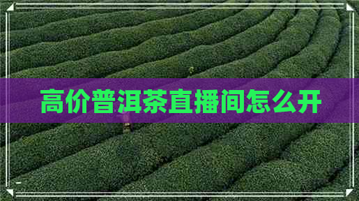 高价普洱茶直播间怎么开