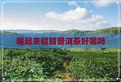 喝起来甜甜普洱茶好喝吗