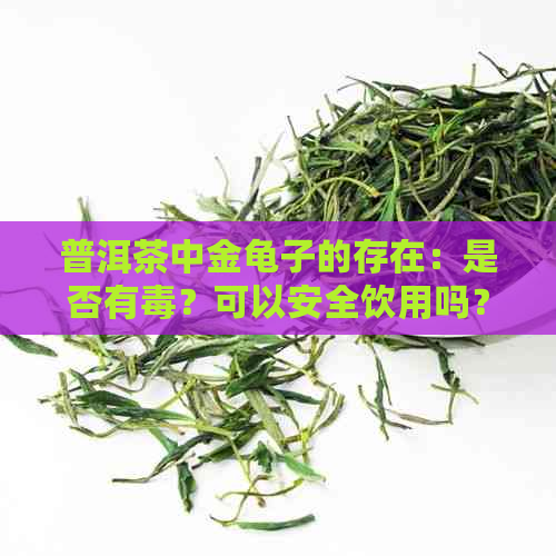 普洱茶中金龟子的存在：是否有？可以安全饮用吗？