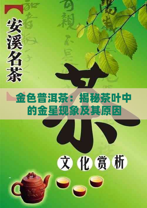 金色普洱茶：揭秘茶叶中的金星现象及其原因