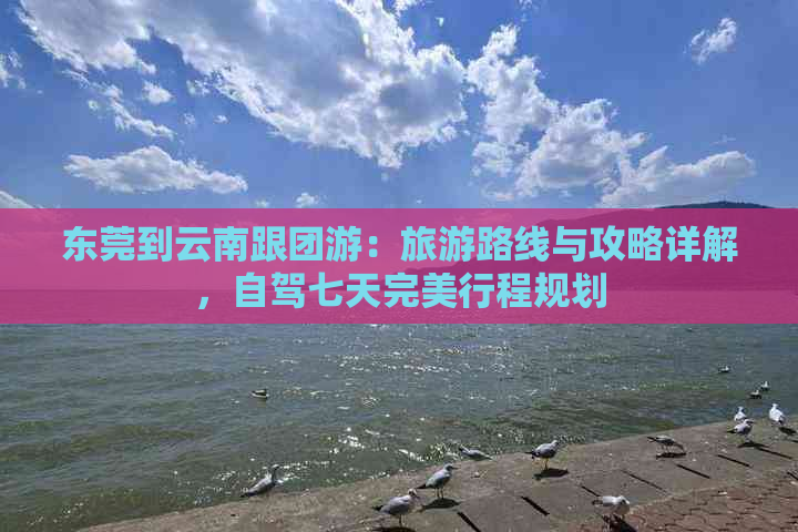 东莞到云南跟团游：旅游路线与攻略详解，自驾七天完美行程规划