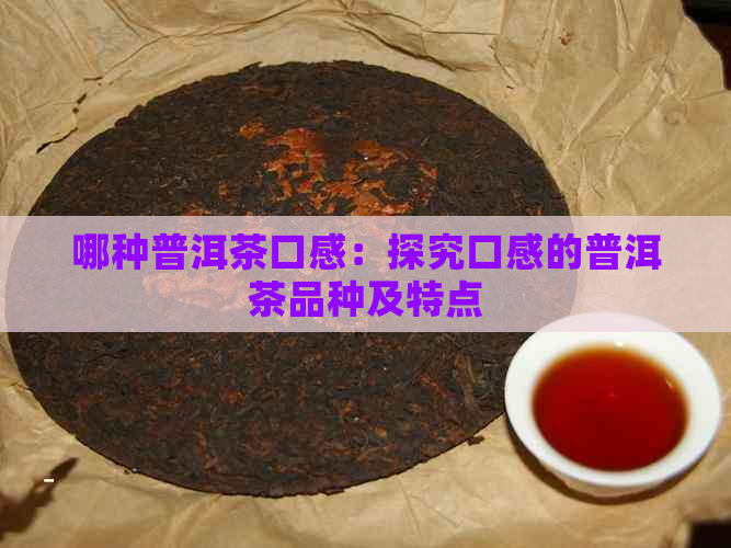 哪种普洱茶口感：探究口感的普洱茶品种及特点