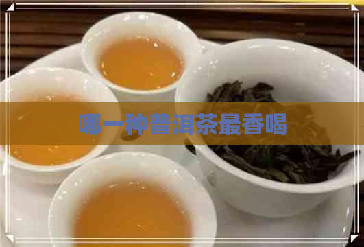 哪一种普洱茶最香喝