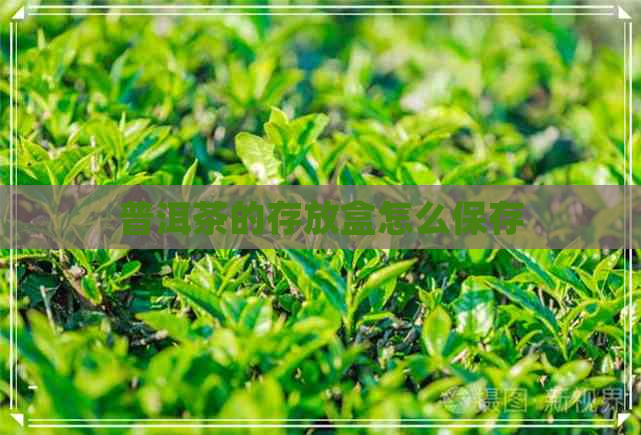 普洱茶的存放盒怎么保存