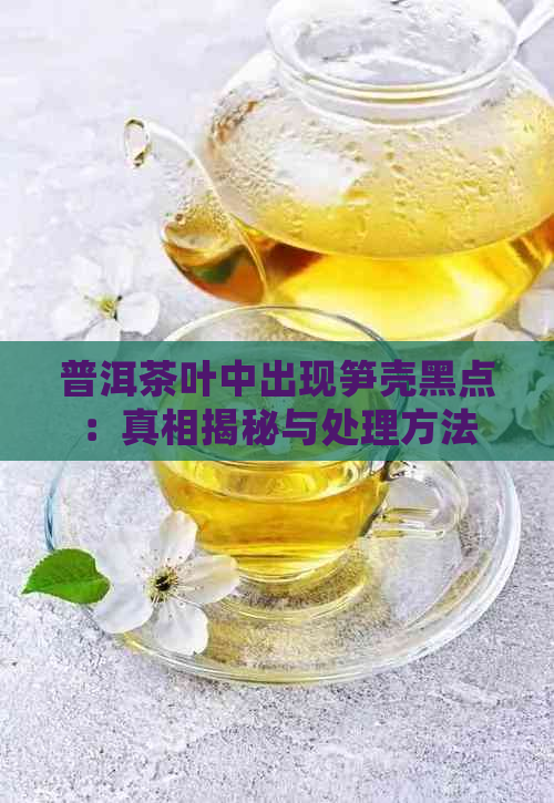 普洱茶叶中出现笋壳黑点：真相揭秘与处理方法