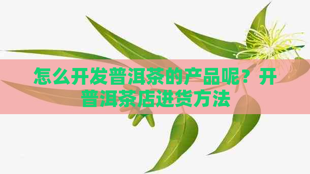 怎么开发普洱茶的产品呢？开普洱茶店进货方法