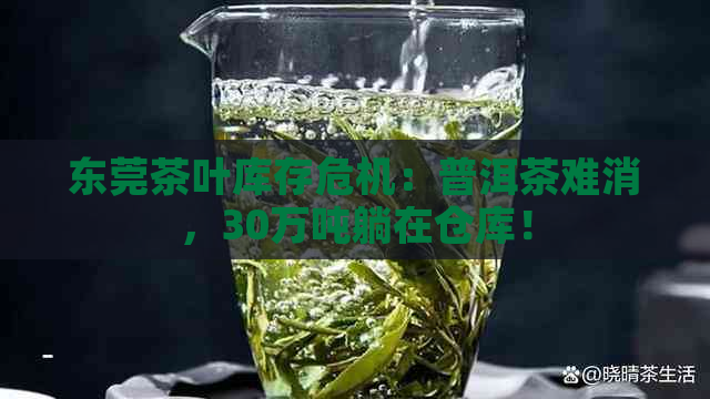 东莞茶叶库存危机：普洱茶难消，30万吨躺在仓库！