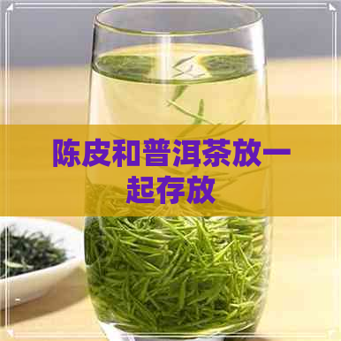 陈皮和普洱茶放一起存放