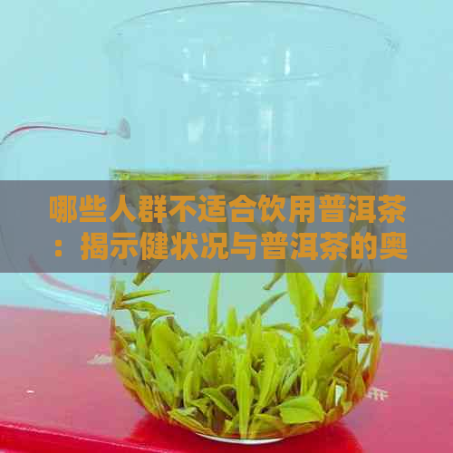 哪些人群不适合饮用普洱茶：揭示健状况与普洱茶的奥秘