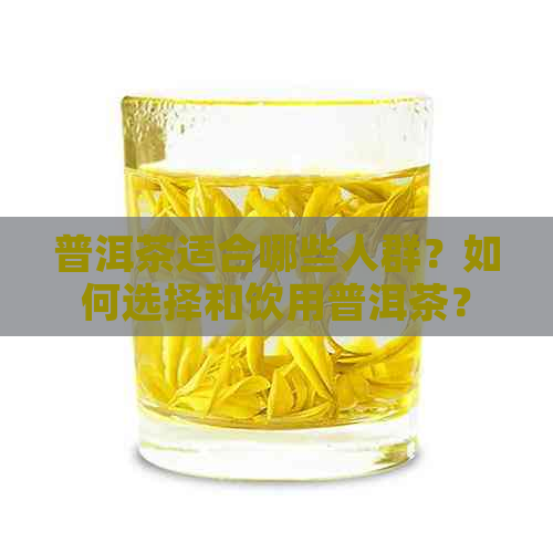 普洱茶适合哪些人群？如何选择和饮用普洱茶？