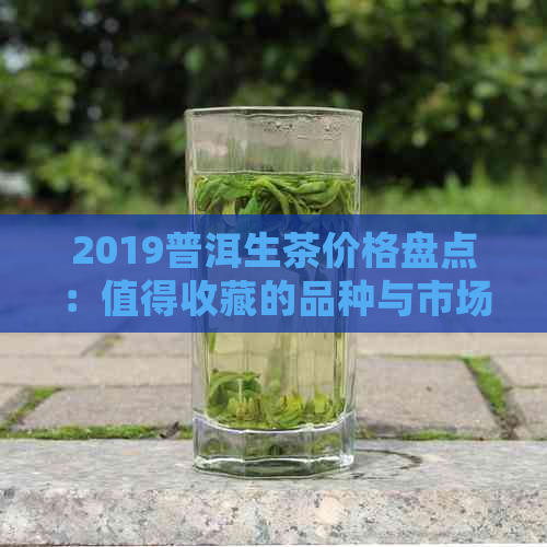 2019普洱生茶价格盘点：值得收藏的品种与市场行情