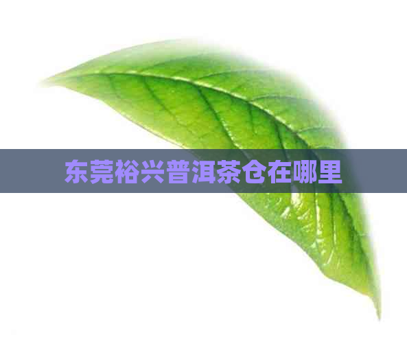 东莞裕兴普洱茶仓在哪里