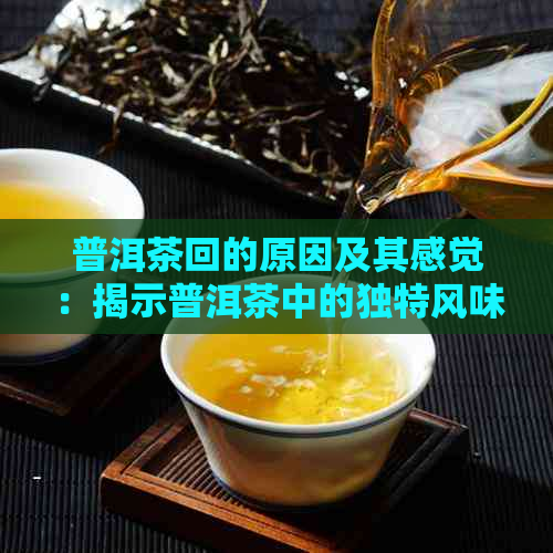 普洱茶回的原因及其感觉：揭示普洱茶中的独特风味产生原理