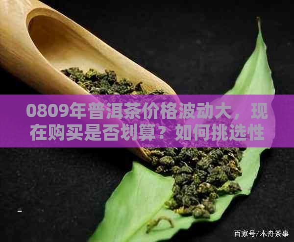 0809年普洱茶价格波动大，现在购买是否划算？如何挑选性价比高的普洱茶？