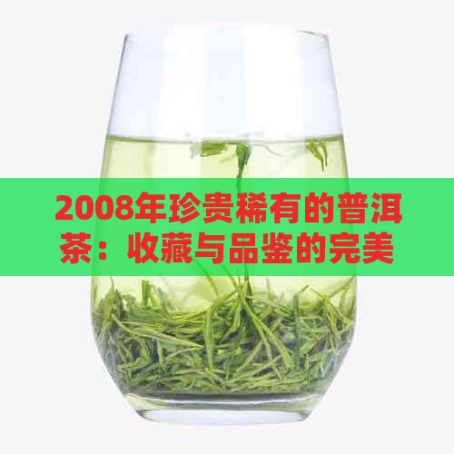 2008年珍贵稀有的普洱茶：收藏与品鉴的完美结合