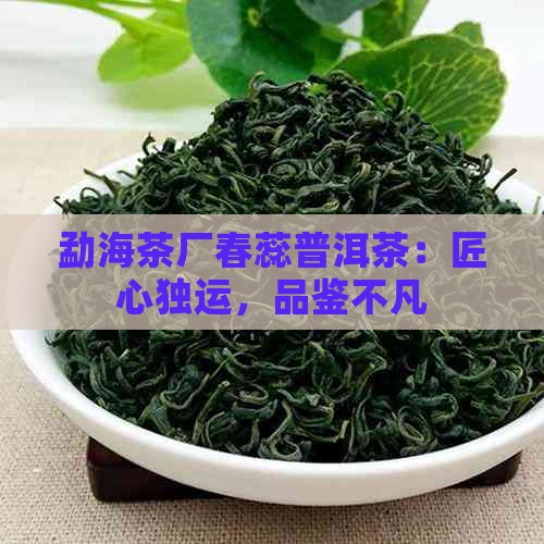 勐海茶厂春蕊普洱茶：匠心独运，品鉴不凡