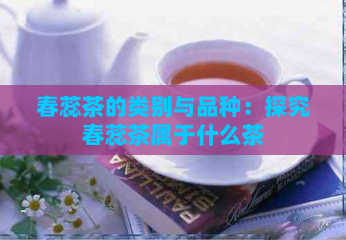 春蕊茶的类别与品种：探究春蕊茶属于什么茶