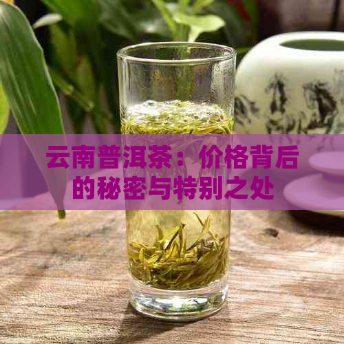 云南普洱茶：价格背后的秘密与特别之处