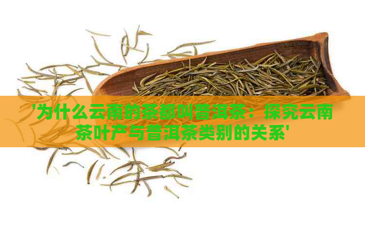 '为什么云南的茶都叫普洱茶：探究云南茶叶产与普洱茶类别的关系'