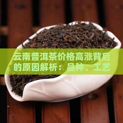 云南普洱茶价格高涨背后的原因解析：品种、工艺、市场等多方面因素影响