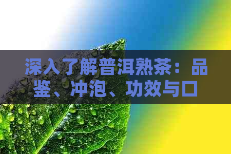 深入了解普洱熟茶：品鉴、冲泡、功效与口感的全方位解析