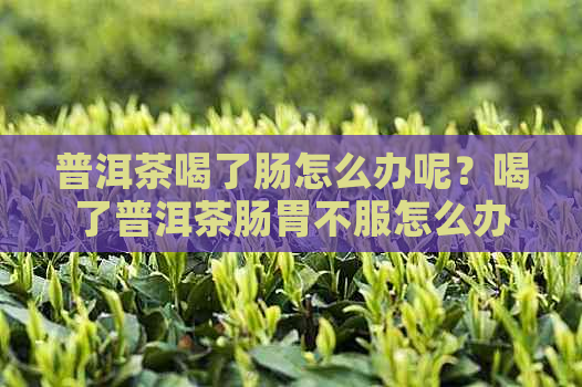 普洱茶喝了肠怎么办呢？喝了普洱茶肠胃不服怎么办？