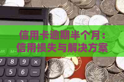 信用卡逾期半个月：信用损失与解决方案探讨