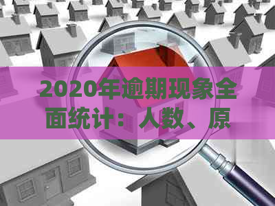 2020年逾期现象全面统计：人数、原因、影响及应对措解析