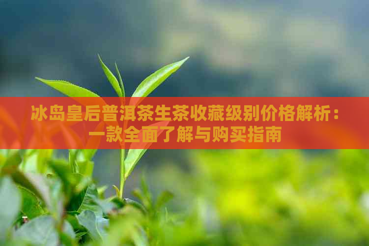 冰岛皇后普洱茶生茶收藏级别价格解析：一款全面了解与购买指南